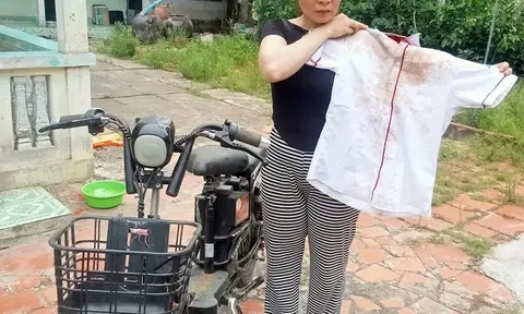 Vụ tai nạn giao thông ở Vĩnh Long khiến nữ sinh lớp 9 tử vong có thông tin mới