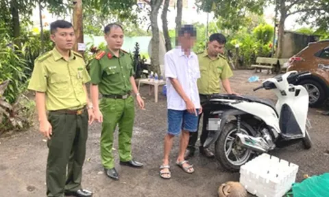 Thông tin chi tiết vụ 3 người bị khởi tố về hành vi mua bán, vận chuyển tê tê Java