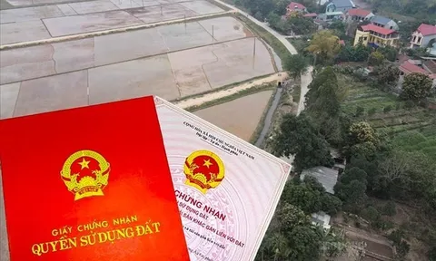 Tin vui: Thêm một quyền lợi đặc biệt theo quy định mới nhất của Luật Đất đai, hàng triệu người sẽ hưởng lợi