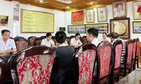 Nhân viên y tế Bệnh viện Đa khoa Hải Hậu bị tấn công: Danh tính và động cơ xấu hổ của người vi phạm