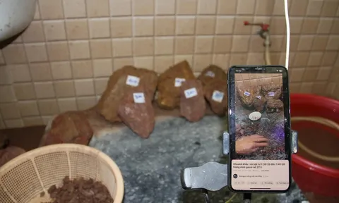 Nhóm livestream bán đá “đổ thạch” lừa đảo 10 tỷ đồng sa lưới, lộ chiêu trò "phù phép" đã bình dân thành đá quý cổng trời