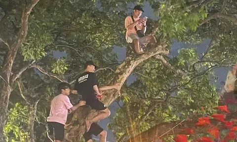 Chen lấn, xả rác, chống đối khi xem tổng hợp luyện diễu binh ở Hà Nội: Công an Hà Nội cảnh báo "nóng"