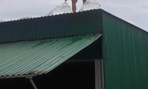 Đau lòng: Chằng mái nhà chống bão, chồng bị điện giật tử vong, vợ con ứng cứu cũng nguy kịch