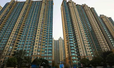 Mua chung cư 5 tỷ đồng, 3 năm sau giá vọt lên 8 tỷ, người đàn ông vẫn “khóc thầm” vì điều này