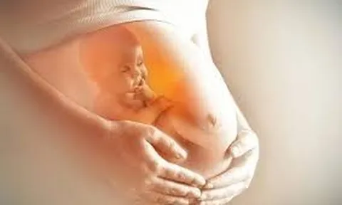 Nhân viên mới đi làm 12 ngày thông báo mang thai, xin nghỉ ốm, sếp từ chối rồi cho nghỉ việc: Tòa ra phán quyết cứng rắn