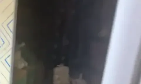 Tiếng kêu cứu trong kho lạnh hé lộ một sự thật kinh hoàng về người phụ nữ gần như bị "ướp lạnh" trong 20 phút