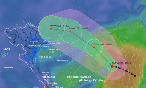 Tin mới nhất về cơn bão số 7: Sóng cao 5m, biển động rất mạnh, Việt Nam có chịu ảnh hưởng trực tiếp hay không, vùng nào sẽ mưa lớn?