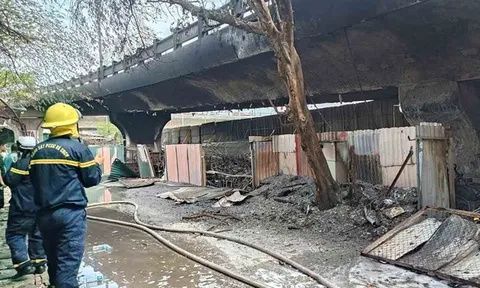 Công an nói gì về nguyên nhân cháy bãi xe dưới chân cầu Vĩnh Tuy?