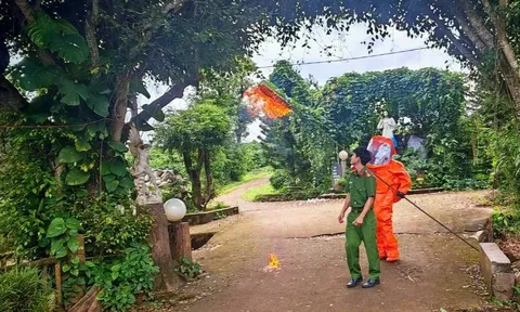Thông tin mới nhất vụ ong vò vẽ đốt 3 trẻ nhỏ thương vong