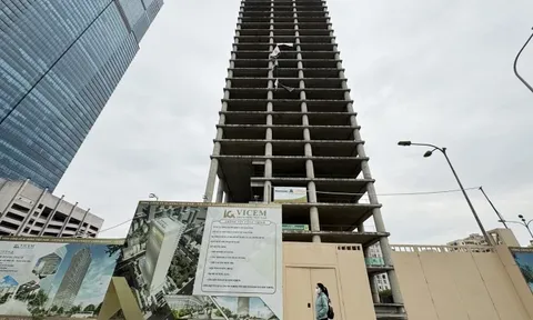 Vì sao cựu Phó tổng giám đốc Xi măng Việt Nam (Vicem) bị khởi tố?