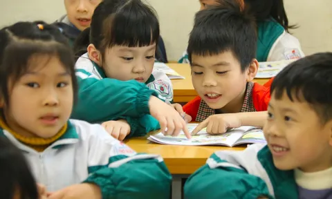 Đề xuất sáp nhập trường mầm non, tiểu học dưới chuẩn, Bộ Giáo dục và Đào tạo đã dự thảo những nội dung gì?