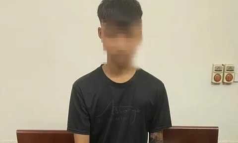 Nhóm thanh, thiếu niên trộm cắp két sắt tiền công đức tại đền Thượng là những ai?