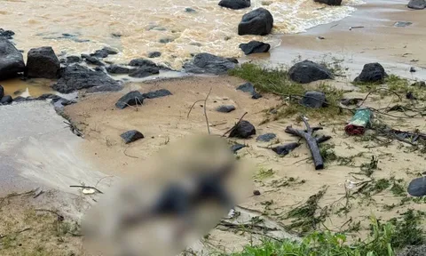 Thi thể không nguyên vẹn dạt vào bờ biển ở Quảng Trị là học sinh lớp 11: Xót xa hoàn cảnh gia đình rất khó khăn