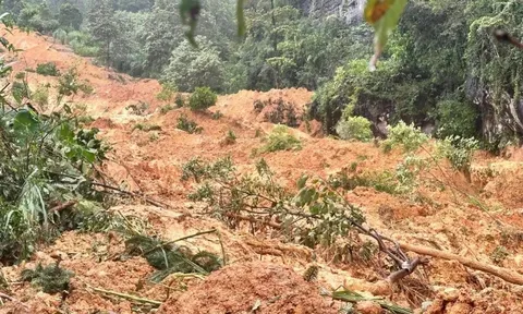 Tuyên Quang: Thương tâm 4 người trong cùng 1 gia đình bị vùi lấp do sạt lở đất