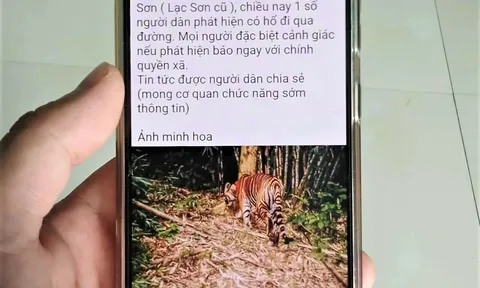 "Hổ xuất hiện ở Phú Thọ": Công an vào cuộc xác minh