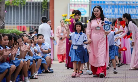 5 nhóm giáo viên hưởng lương và phụ cấp cao hơn bình thường từ ngày 01/01/2026 theo Luật Nhà giáo 2025?