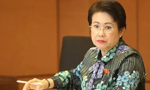 Vì sao cựu Phó Bí thư Tỉnh ủy Đồng Nai Phan Thị Mỹ Thanh bị khởi tố?