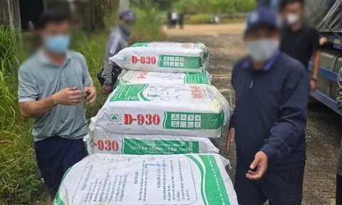 Bí mật khủng khiếp bên trong chiếc xe đầu kéo chở hàng chục "bao gạo" từ Lào vào Việt Nam