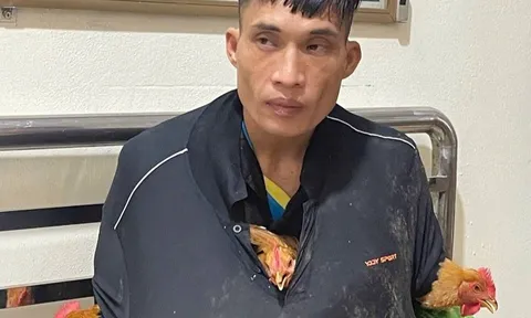 Bắt Lầu Văn Bình, Trương Văn Trữ ăn trộm gà