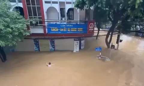 Thót tim cảnh giải cứu người đàn ông bị lũ cuốn vào dòng chảy xiết: 40 giây nghẹt thở ngỡ ác mộng trong đời