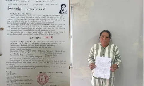 Bắt giữ Nguyễn Thị Hoàng Lệ Trinh sau 10 năm lợi dụng 2 lần mang thai bỏ trốn