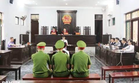 Vụ gà lôi trắng: Bị cáo Thái Khắc Thành được miễn trách nhiệm hình sự, thả tự do tại tòa
