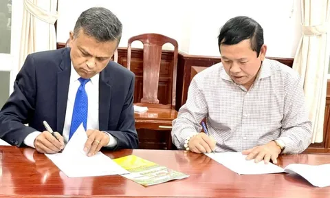 Vì sao Tổng giám đốc Công ty dầu khí Nam Sông Hậu bị bắt?