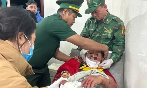 Trưởng thôn bị gấu tấn công kinh hoàng trên đường đi làm về: Nạn nhân nói gì?