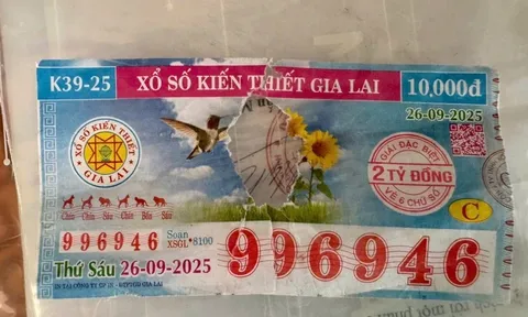 Tờ vé số trúng giải độc đắc bị rách ở Gia Lai đã được trả thưởng: Người phụ hồ nhận hơn 1,8 tỷ đồng