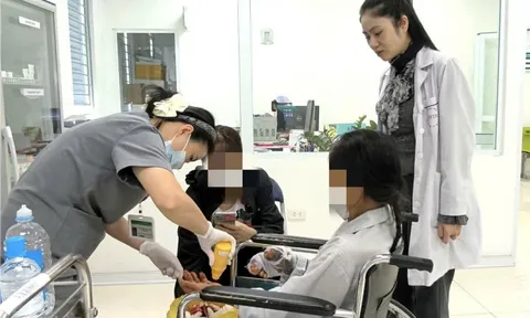 Xót xa cụ bà 63 tuổi bị chó béc giê nhà nuôi cắn nát tay khi cho ăn