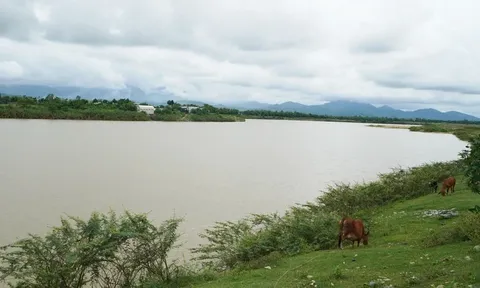 Thiếu niên 15 tuổi đi khỏi nhà, mất tích: Xót xa nơi tìm ra thi thể