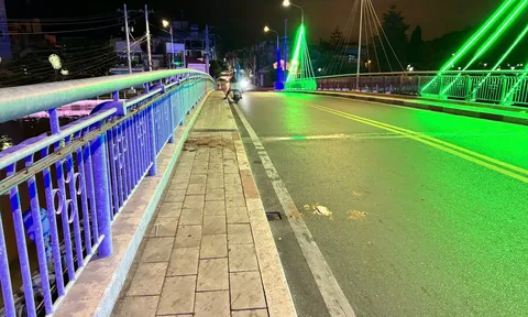 Bùi Quang Sơn đầu thú