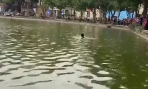 Danh tính cô gái nhảy xuống hồ Hoàn Kiếm tử vong, hé lộ thêm chi tiết đau lòng về chồng và con gái