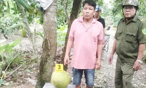 Trộm 2 trái mít bị khởi tố: Phân tích của luật sư sẽ khiến nhiều người không còn bất ngờ