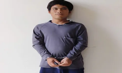 Bắt giữ Đinh Văn Chí Linh sinh năm 1998 khi vừa đi tàu cá vào bờ