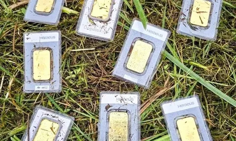 Công nhân đang cắt cỏ thì tìm thấy 8 thỏi vàng, người này quyết làm ngay 1 việc