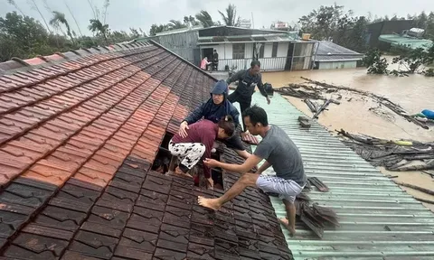 Những con số thiệt hại đau lòng do mưa lũ ở Gia Lai