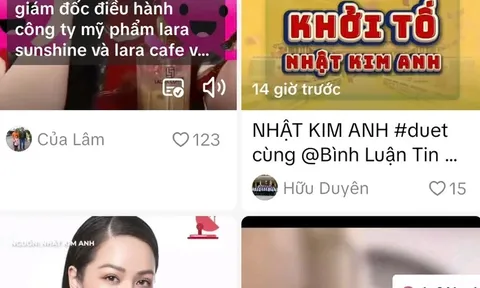 Thông tin "vợ chồng ca sĩ Nhật Kim Anh bị bắt tại sân bay": Khổ chủ nói gì?