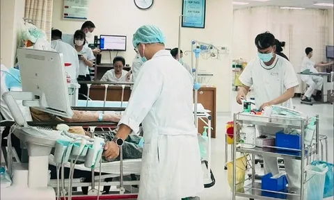 Vụ ngộ độc bánh mì cóc cô Bích ở TP.HCM hiện nay như thế nào?