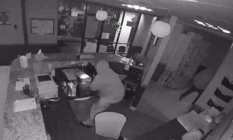 Vụ trộm hi hữu: Vào tận bệnh viện lấy tro cốt của thú cưng