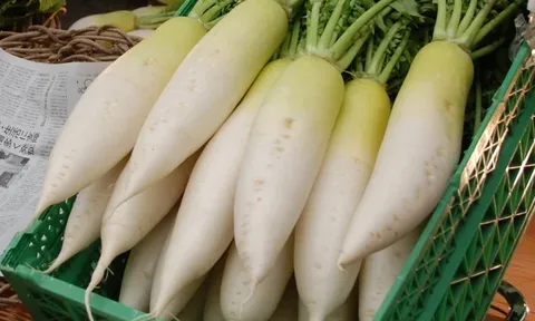 Việt Nam có loại củ được ví như “nhân sâm mùa đông”, giá rẻ đầy chợ, nhiều người ăn hằng ngày mà không biết