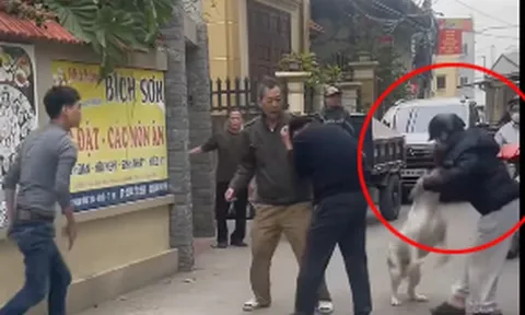 Vụ xua chó tấn công người ở Hồng Vân, Hà Nội: Người chứng kiến kể chi tiết đau nhói lòng