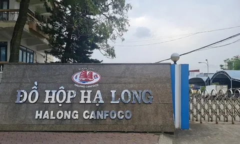 Thu mua thịt heo bị nhiễm bệnh dịch tả châu Phi, sau đó "phù phép" thành đồ hộp sạch