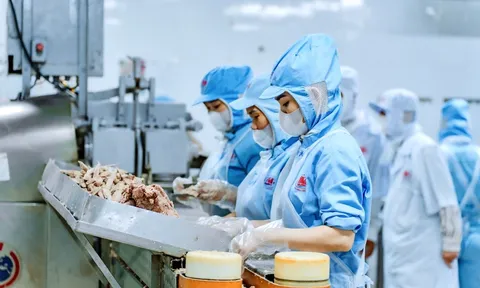 Vụ 130 tấn lợn bệnh của Công ty cổ phần Đồ hộp Hạ Long: Doanh thu "khủng", danh sách dài đối tác bán lẻ