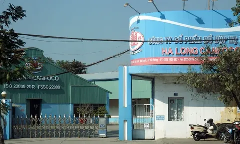 Vụ 130 tấn thịt lợn bệnh Đồ hộp Hạ Long: Nữ cán bộ Sở NN&MT Hải Phòng ra đầu thú là ai?