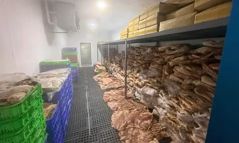 Rùng mình 50 tấn thịt heo được "phù phép" thành đặc sản bắp dê Australia, nhím, nai