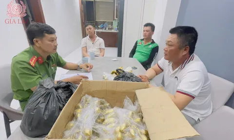 Phan Văn Đức bị bắt cùng đồng bọn, lộ sự thật gây choáng về "cổ vật" hình nải chuối, nhánh cau