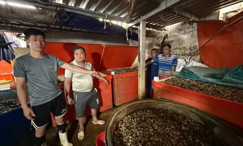 Dùng 500 tấn "thủy tinh lỏng" ngâm 3.000 tấn thịt ốc bươu: Một sự thật gây choáng