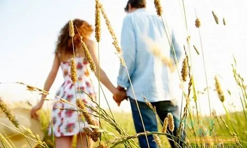 Lương 10 triệu, nhà sắp mất, tôi có nên đánh cược đời mình vào người bạn trai "nghèo bền vững"?