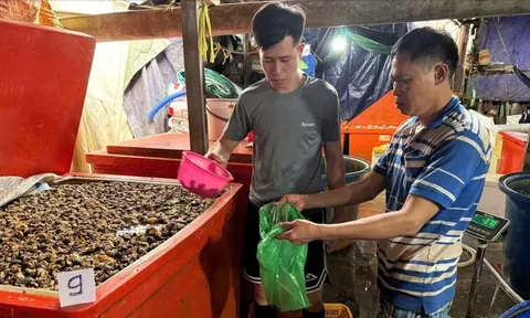 Rùng mình lời khai của nhóm mua 500 tấn "thủy tinh lỏng" ngâm 3.000 tấn ốc bươu